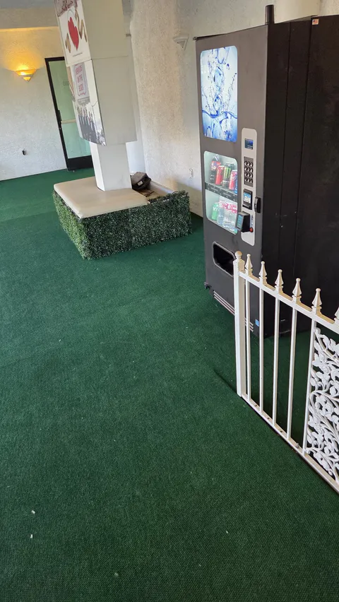 Commercial entry turf and storefront walkway repair photo